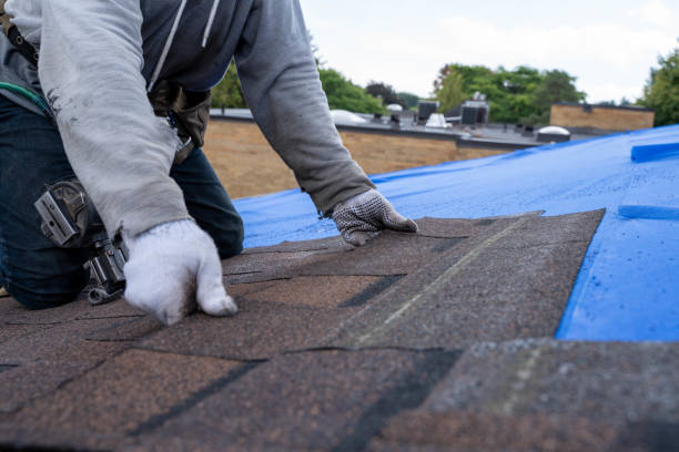 Residential Roof Replacement in Williamsburg, IA